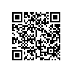 BKT-161-02-L-V-S-A-TR QRCode