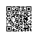 BKT-161-04-F-V-S-A-P QRCode