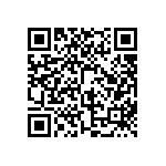 BKT-163-01-L-V-S-A-TR QRCode