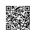 BKT-163-02-L-V-P-TR QRCode