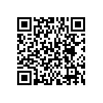 BKT-163-04-FM-V QRCode