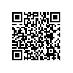 BKT-167-04-L-V-P-TR QRCode