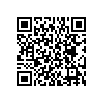 BKT-167-04-L-V-S QRCode