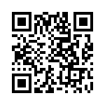 BN104G0333K QRCode