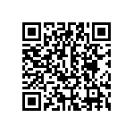 BR246-320A1-28V-021L QRCode