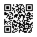 BYD13JGP-E3-73 QRCode