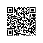 BZ016010BE94013BG1 QRCode