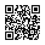 BZD17C33P-RVG QRCode