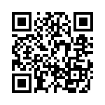 BZG05C13TR3 QRCode