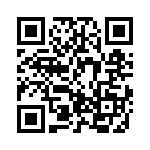 BZT52-C2V4X QRCode