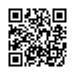 BZT52B13S-RRG QRCode