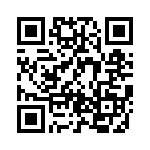 BZT55B2V7-L1G QRCode