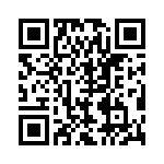 BZT55B30-L0G QRCode