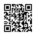 BZT55B9V1-L1G QRCode