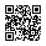 BZT55C18-L1G QRCode