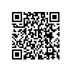 BZW04-13B-E3-54 QRCode