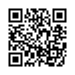 BZW04-17BHA0G QRCode