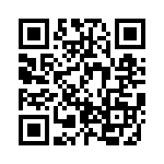 BZW04-256-B0G QRCode