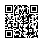 BZW04-28-R1G QRCode