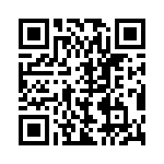 BZW04-299-A0G QRCode