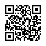 BZW04-33-R1G QRCode