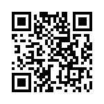 BZW04-33B-R1G QRCode