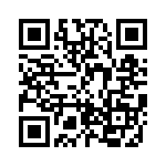 BZW04-94B-R1G QRCode