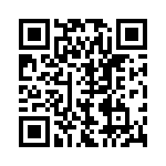 BZW50-33 QRCode