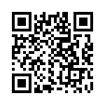 C335C393KAG5TA QRCode