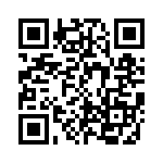 CE3391-33-333 QRCode