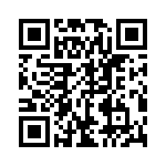 CNY17-1X009 QRCode