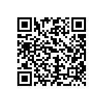 CW0101R300JE12HS QRCode