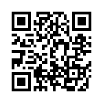 D09P13A6RV09LF QRCode