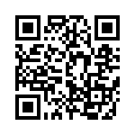 D15P91C4GV00 QRCode