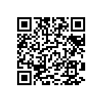 D38999-24FE99PNL QRCode