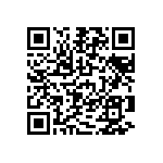 D38999-24FF28BB QRCode