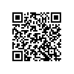 D55342E07B111BRWS QRCode