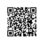 D55342E07B133BRWS QRCode