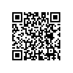 D55342E07B13B5RT5 QRCode