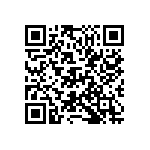 D55342E07B143ERWS QRCode