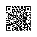 D55342E07B163ERWS QRCode