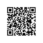 D55342E07B21E5RWS QRCode