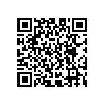 D55342E07B240BMWS QRCode