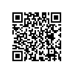 D55342E07B243ERWS QRCode