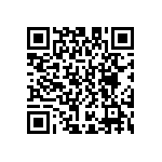 D55342E07B2B13RWS QRCode