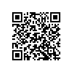 D55342E07B2B49RWS QRCode