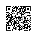 D55342E07B316ERWS QRCode