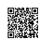 D55342E07B39B2PT1 QRCode