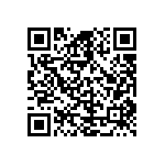 D55342E07B3B40CWS QRCode