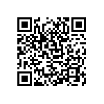 D55342K07B499DPWSV QRCode